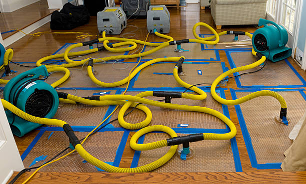 Professional Crawl Space Water Removal technician working in Cameron, TX